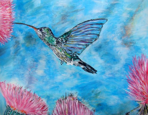 Colibri dans chardons