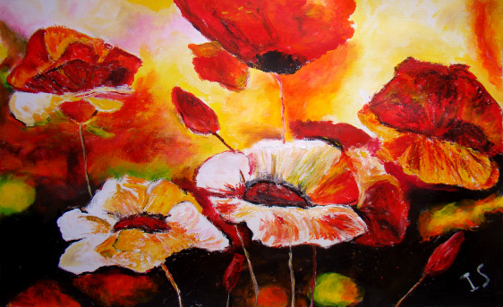 Bouquet coquelicots