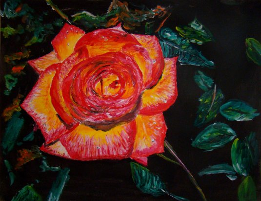 Rose orangée