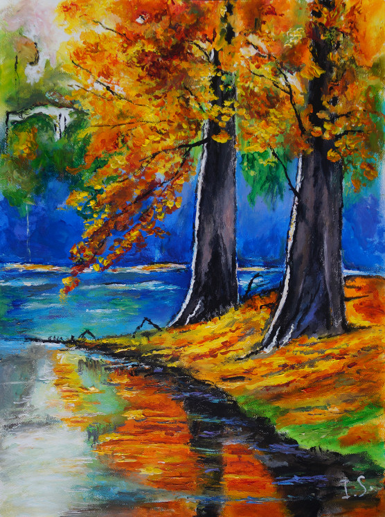 Arbres bord lac automne