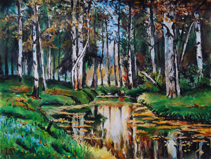 Bassin bouleaux automne