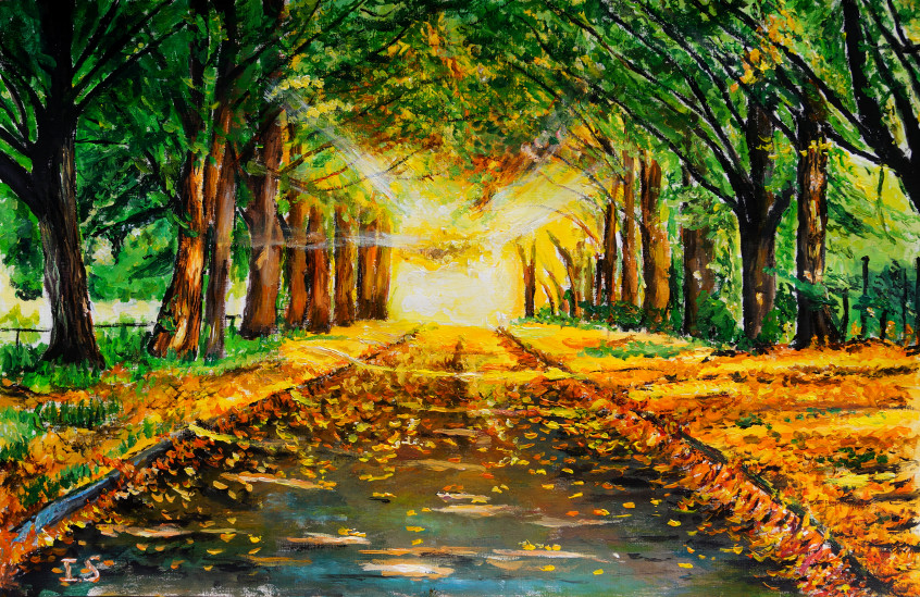 Coucher soleil automnal chemin bordé arbres