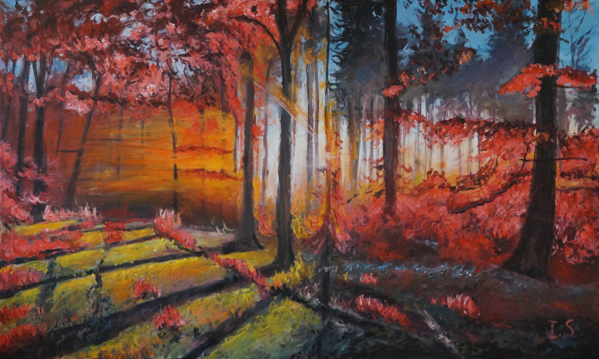 Autre soir automne chemin forêt