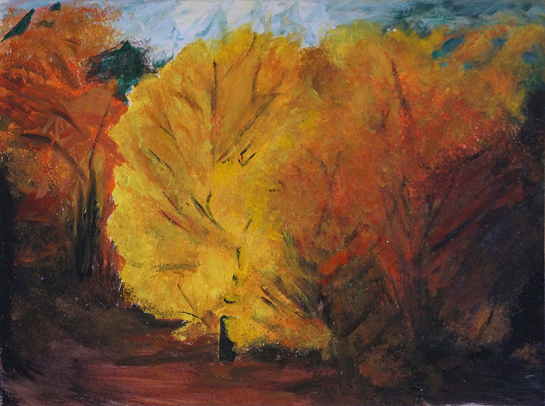 Érables octobre Vermont