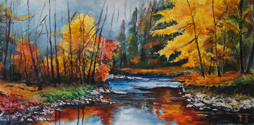 Rivière milieu forêt automne