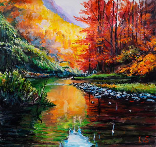Rivière bois montagneux automne