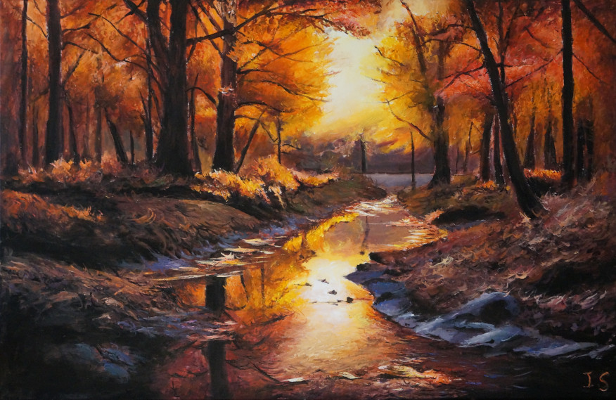 Ruisseau forêt ambrée automne