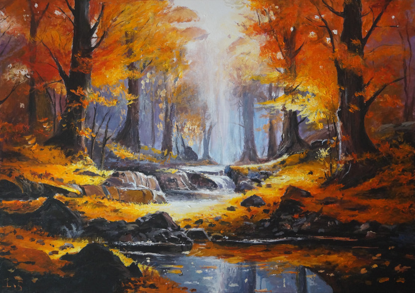 Soir ruisseau forêt automnale