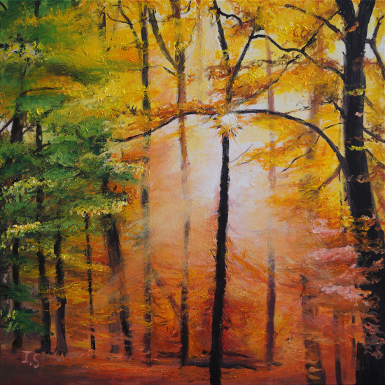 Lumière vespérale forêt automnale