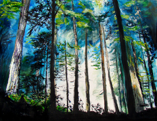 Forêt d'Endor 2