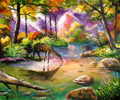 Biche abreuvant forêt