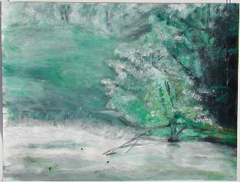 Saule brouillard