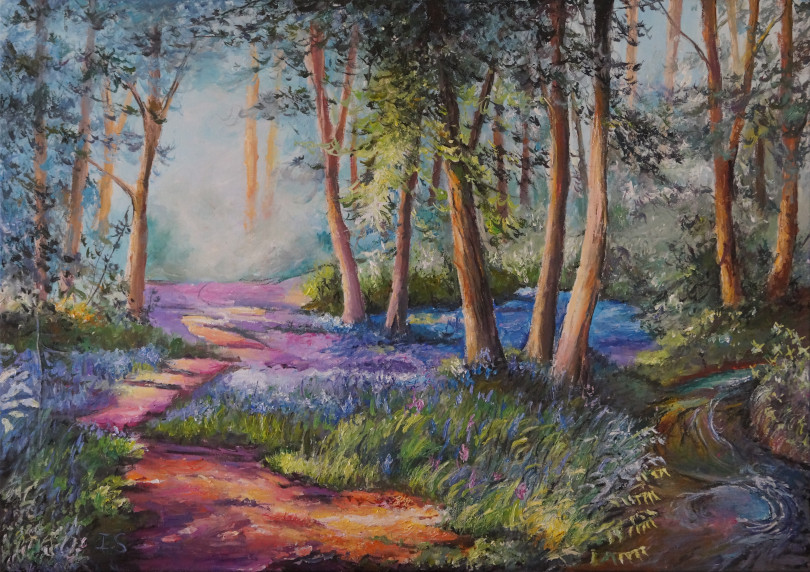 Sentier forêt été