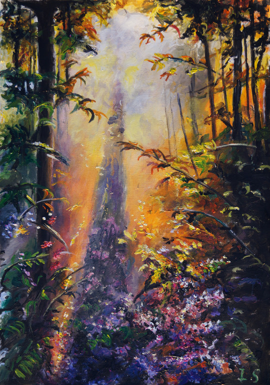 Soir parterre fleurs forêt