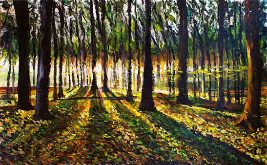 Coucher automnal sous bois