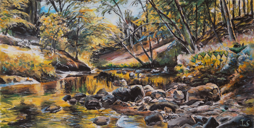Rivière asséchée forêt été