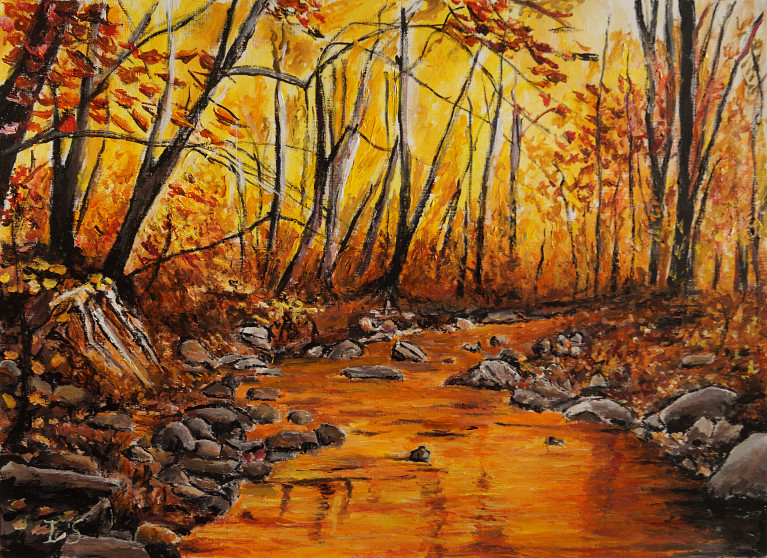 Ruisseau sous-bois ambré automne