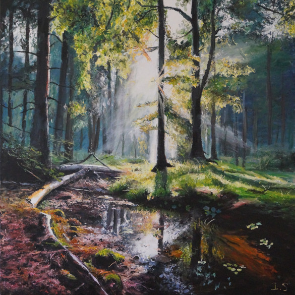 Soleil printanier ruisseau forêt