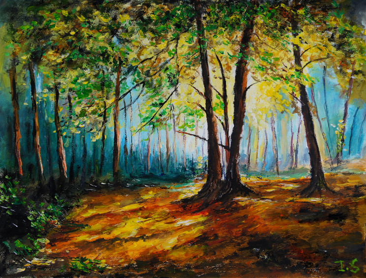 Soir sous-bois automne
