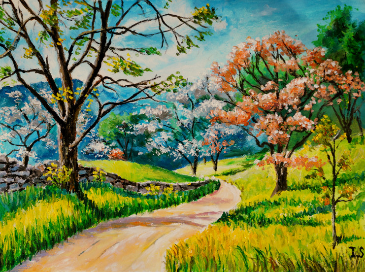 Chemin milieu arbres fleurs printemps