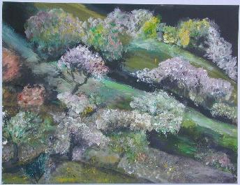 Collines arbres fleurs