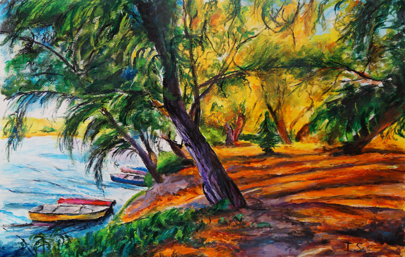 Barques saules pleureurs