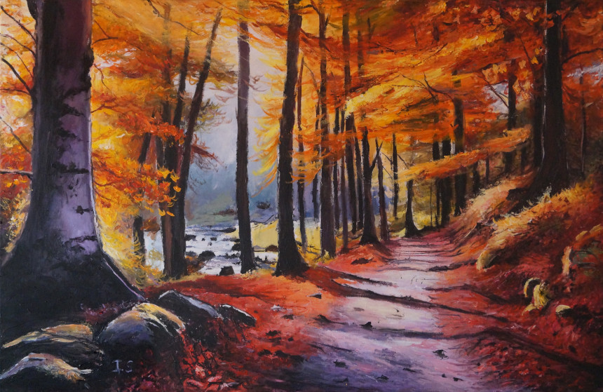 Chemin forêt ruisseau automne