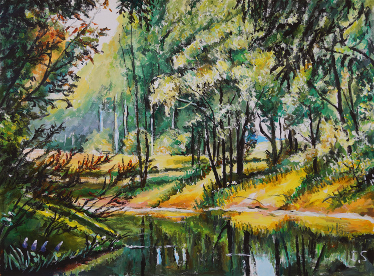 Rivière sous-bois printemps