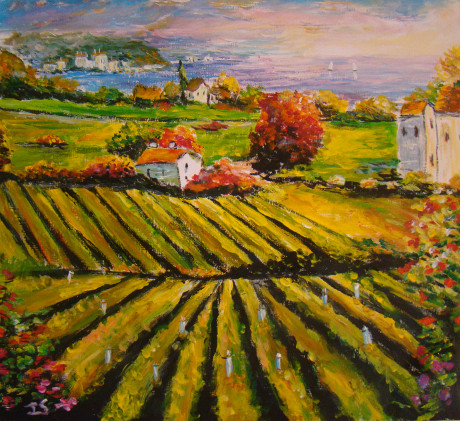 Vignes village côte