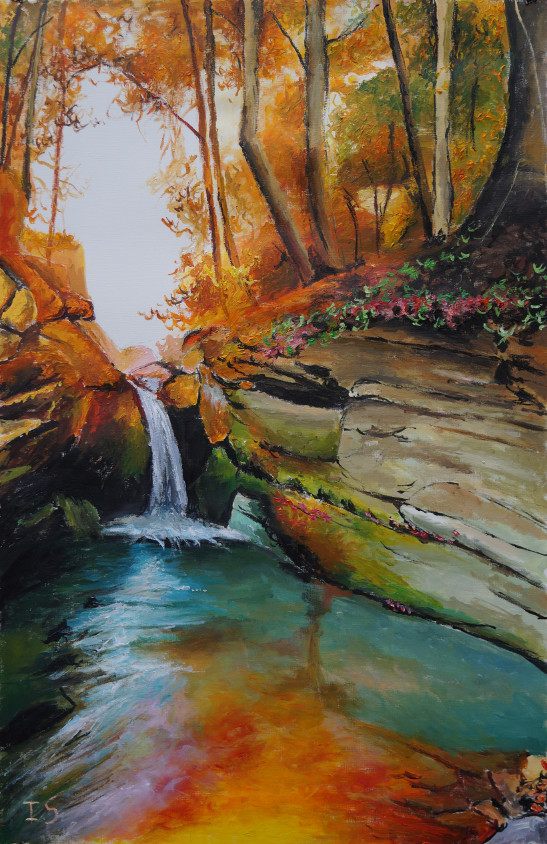 Cascade vespérale sous-bois automne