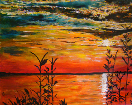 Roseaux contre-jour coucher multicolore