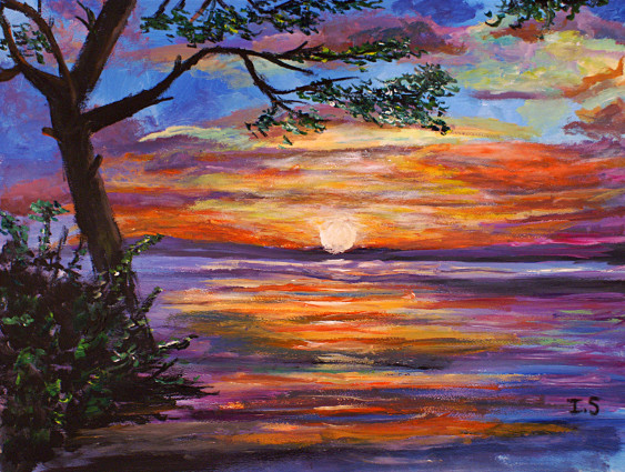 Coucher multicolore lac arbre