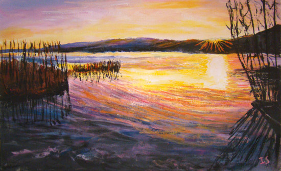 Coucher pastel roseaux