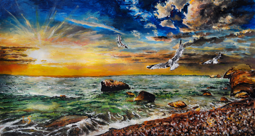 Coucher soleil plage mouettes