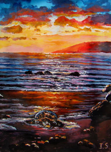 Coucher soleil tortue ponte