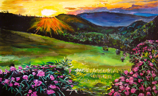 Coucher collines fleurs