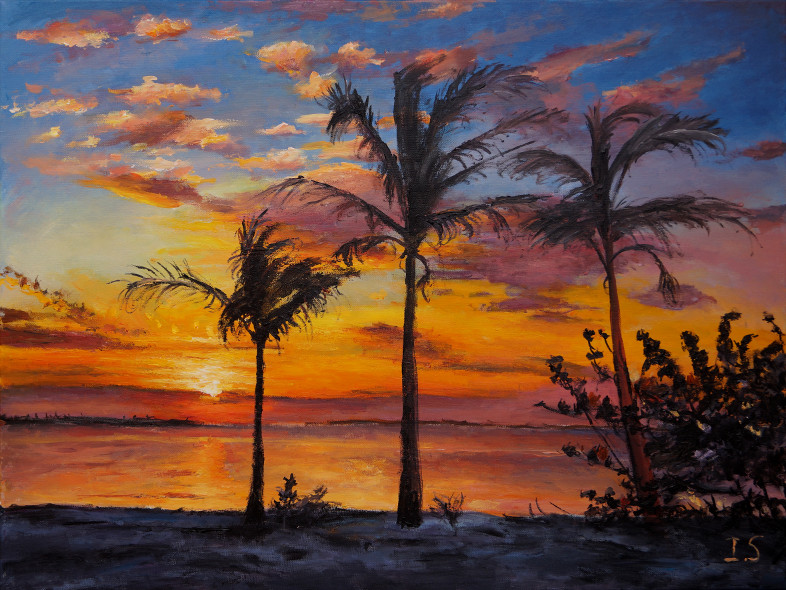 Coucher soleil plage Sanibel Floride