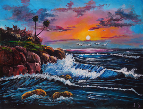 Coucher soleil pastel oiseaux vague