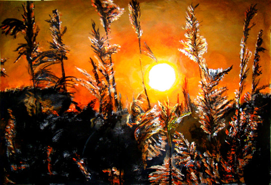 Coucher blés ombres chinoises