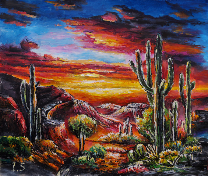 Coucher soleil cactus mesa