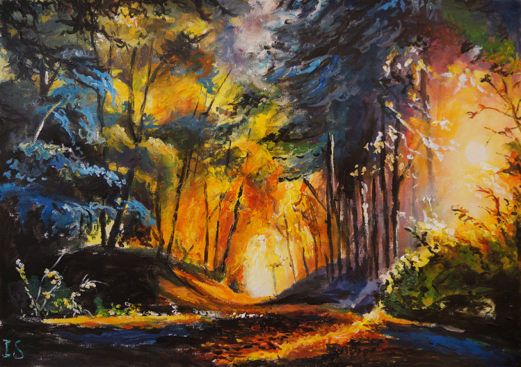 Coucher soleil chemin forêt