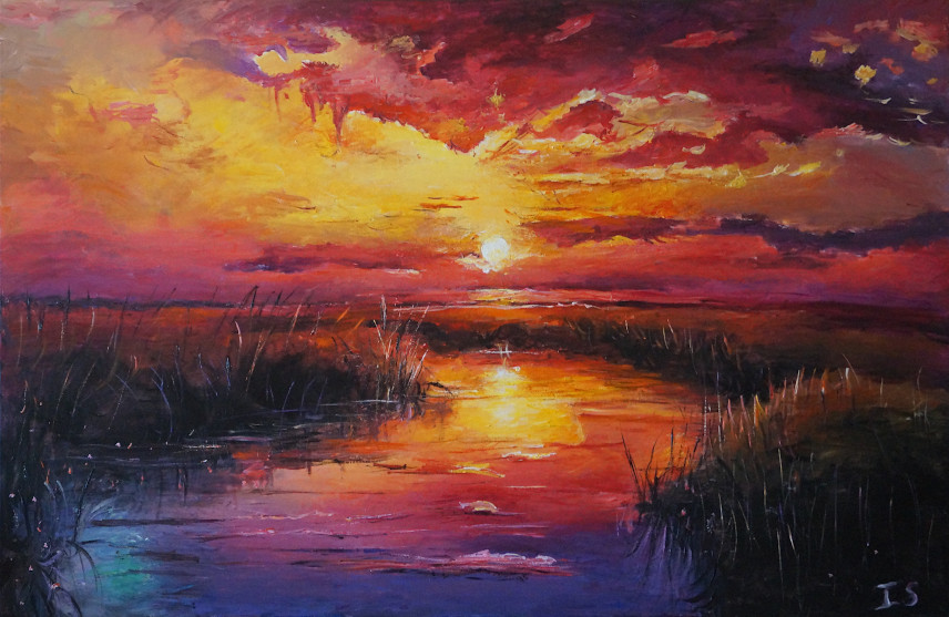 Coucher soleil pourpre marais