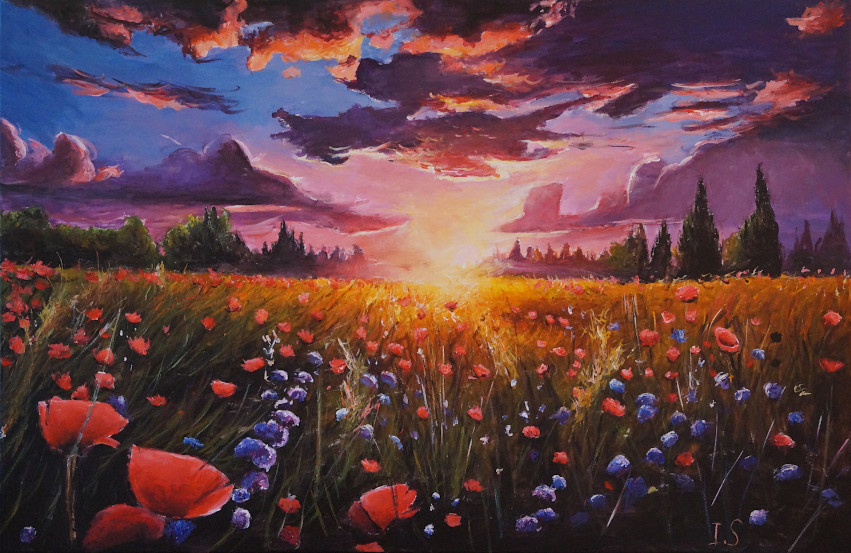 Coucher soleil prairie fleur