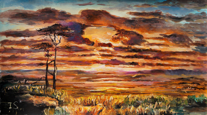 Coucher soleil flamboyant arbres plaine