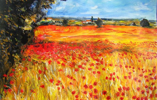 Champ coquelicots