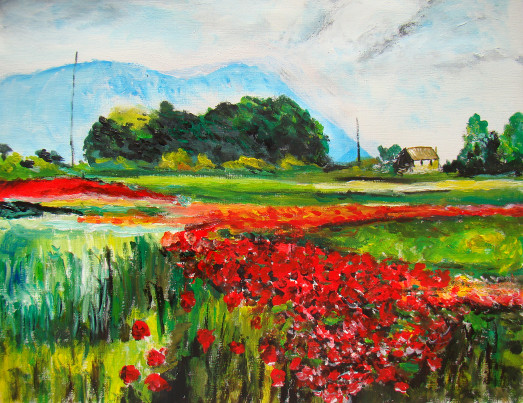 Coquelicots montagne