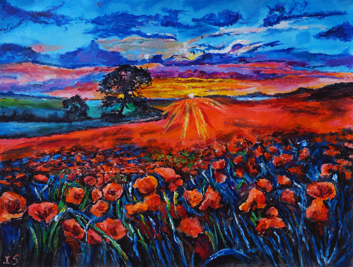 Coucher multicolore champ coquelicots