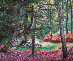 Sous-bois fleuri