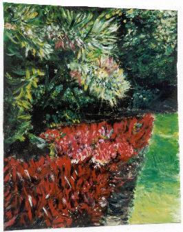 Haie fleurs rouges