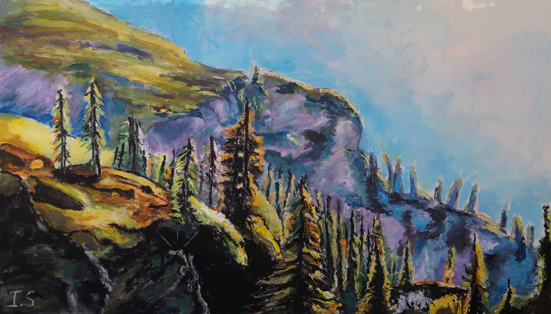 Sapins montagne soir